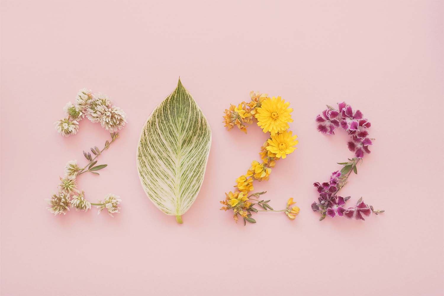 How To Stay Healthy in 2022