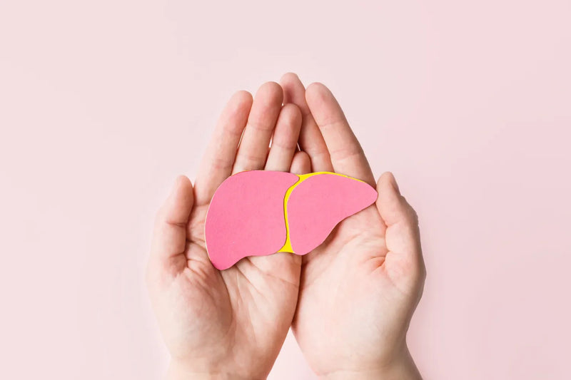 What Are the Best Supplements for Liver Health?