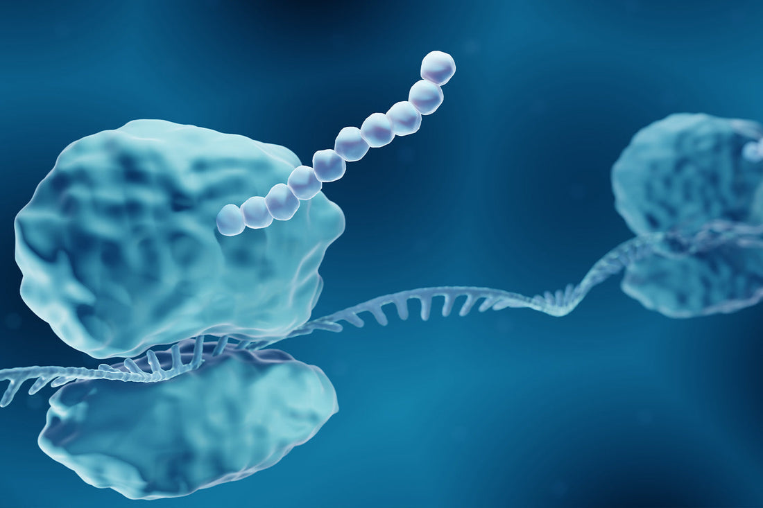 Molecular structure visualization with DNA helix and protein synthesis concept.