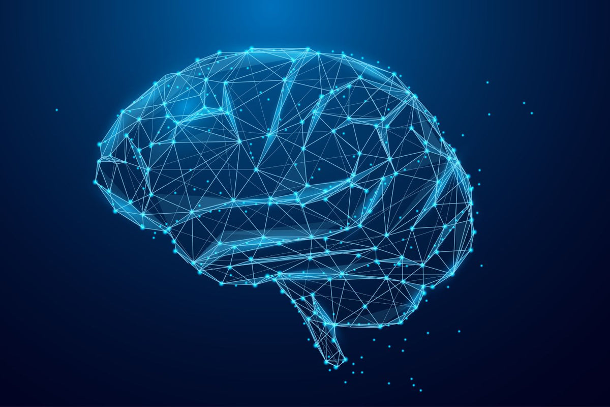 At What Age Does the Brain Fully Develop?