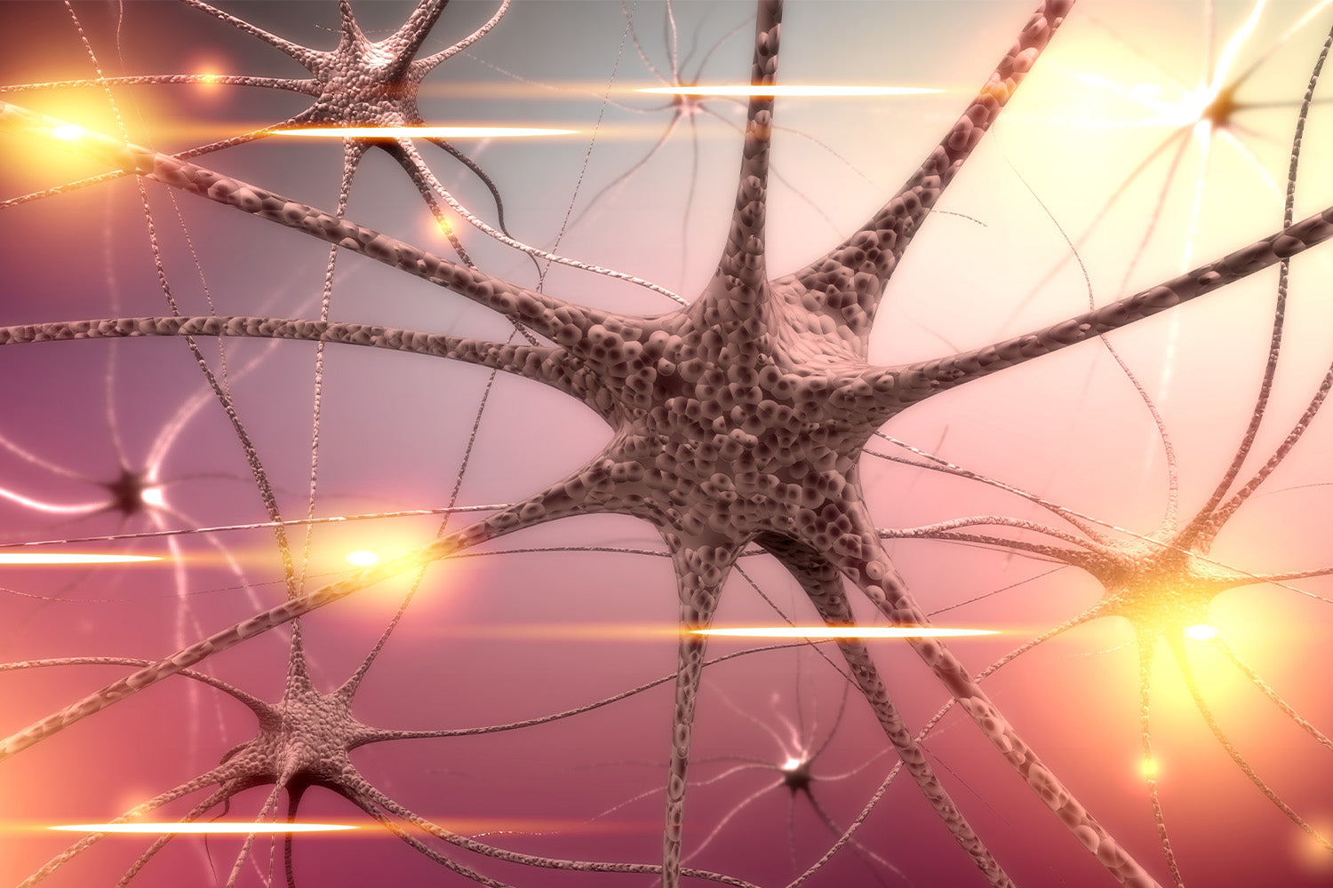 Neurons with glowing synapses in a neural network.