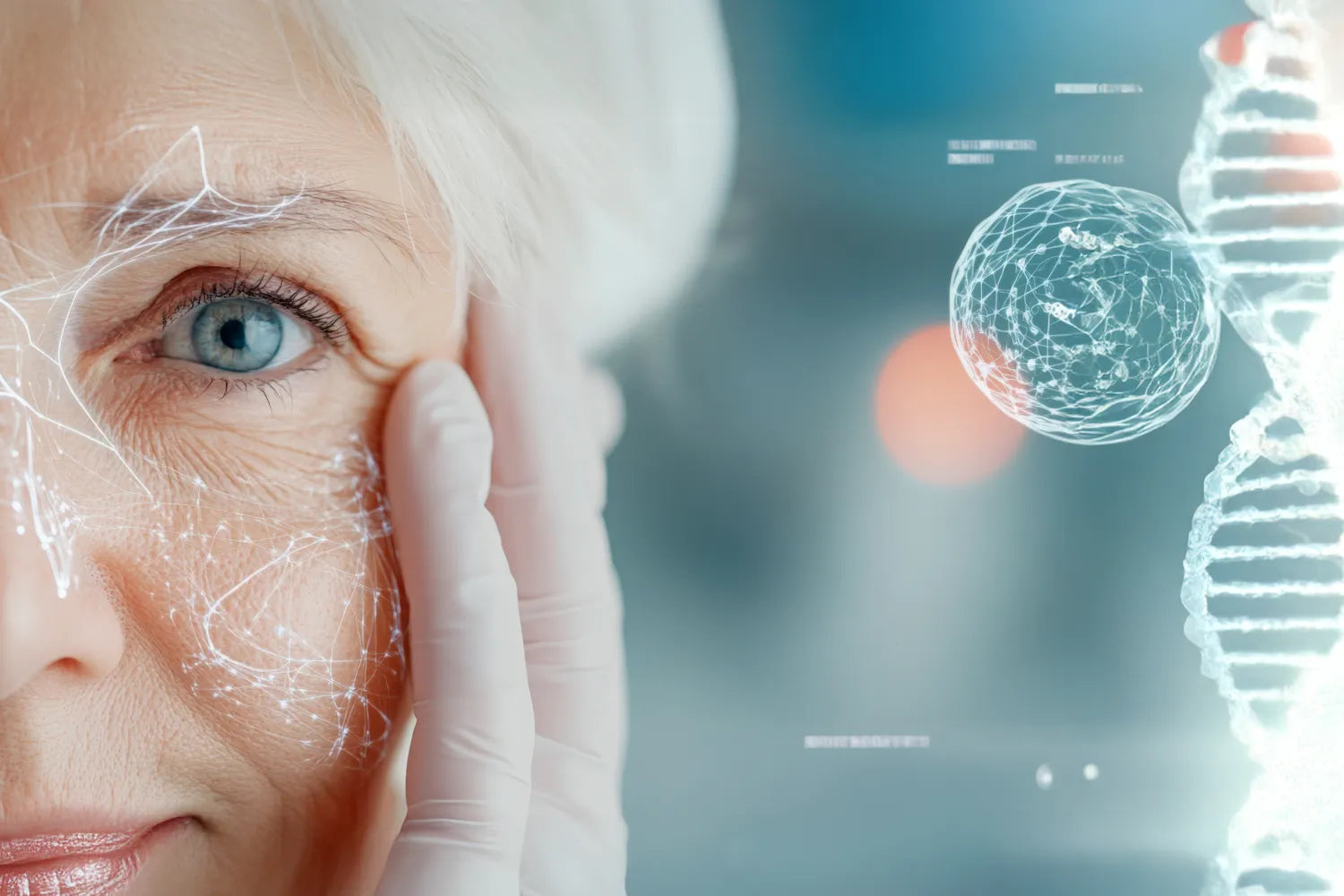 Biomarkers of Aging: A Comprehensive Guide