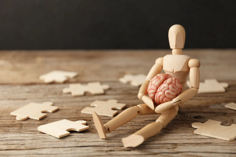 C15:0 and Cognitive Health: What the Dolphin Research Revealed About Protecting the Aging Brain