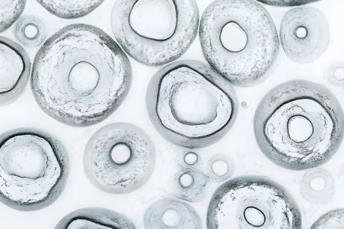 Cellular Senescence and Healthy Aging | Fatty15