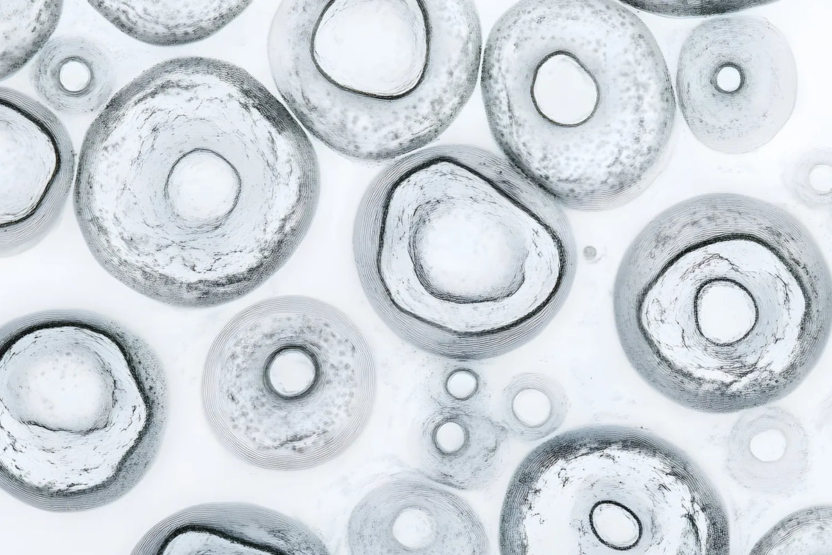 Cellular Senescence and Healthy Aging | Fatty15