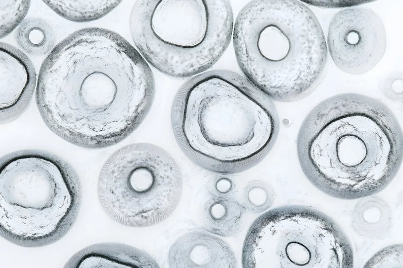 Cellular Senescence and Healthy Aging | Fatty15