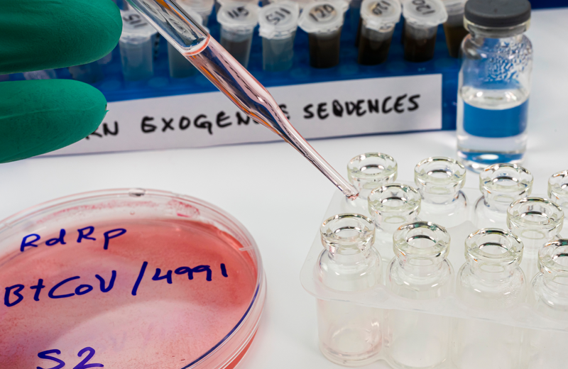 Laboratory pipetting with petri dish and test tubes in research setting.
