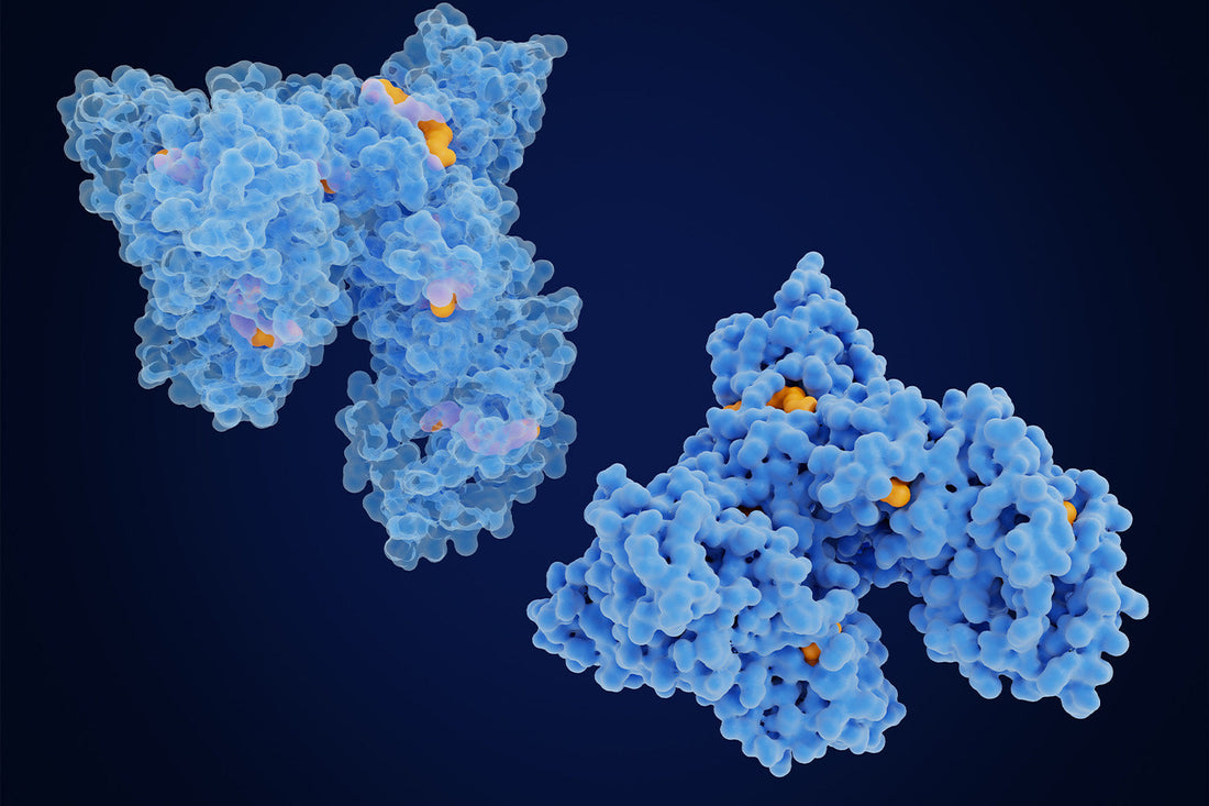 3D blue protein structure on dark background.