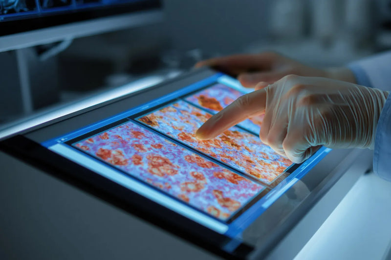 How Scientists Measure Cellular Aging: A Guide to the Biomarkers