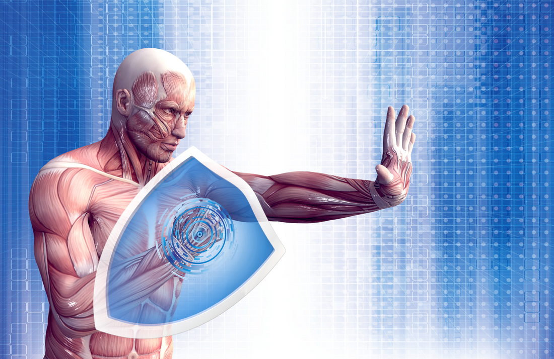 Illustration of muscular person with shield for immunity support