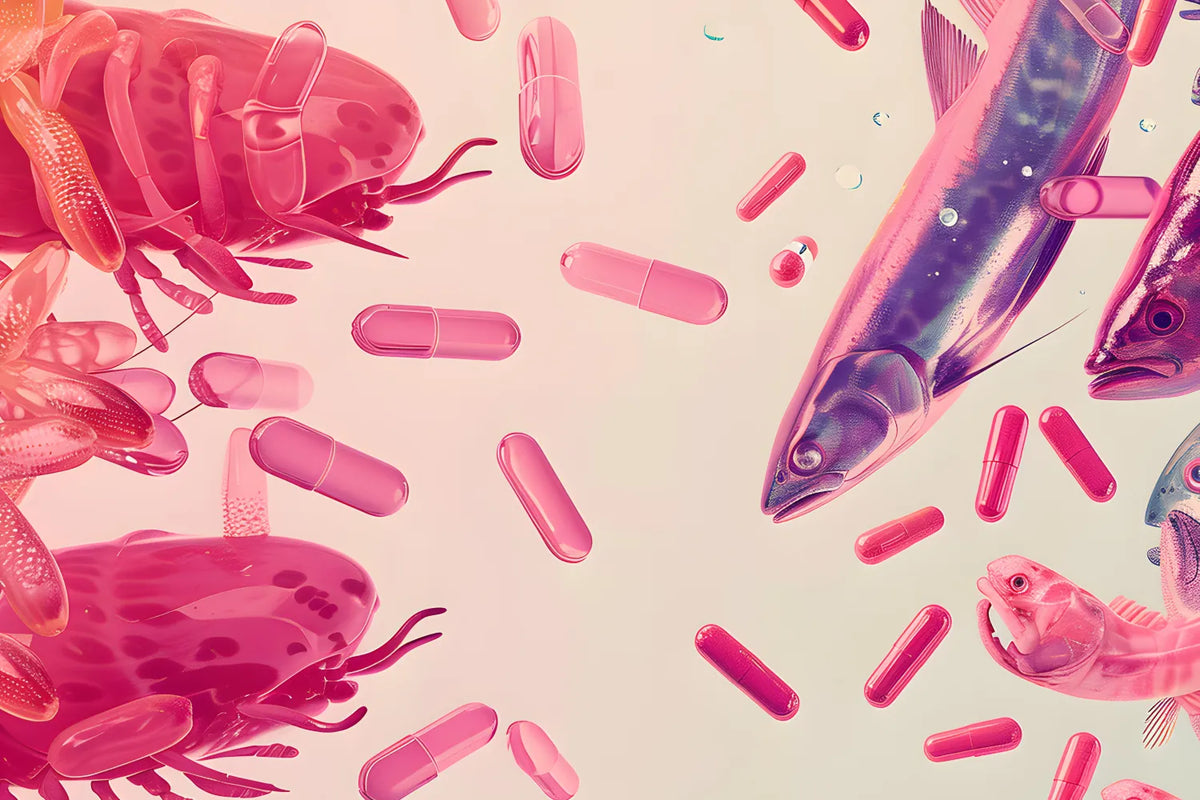 Krill Oil vs. Fish Oil: Are They the Same?
