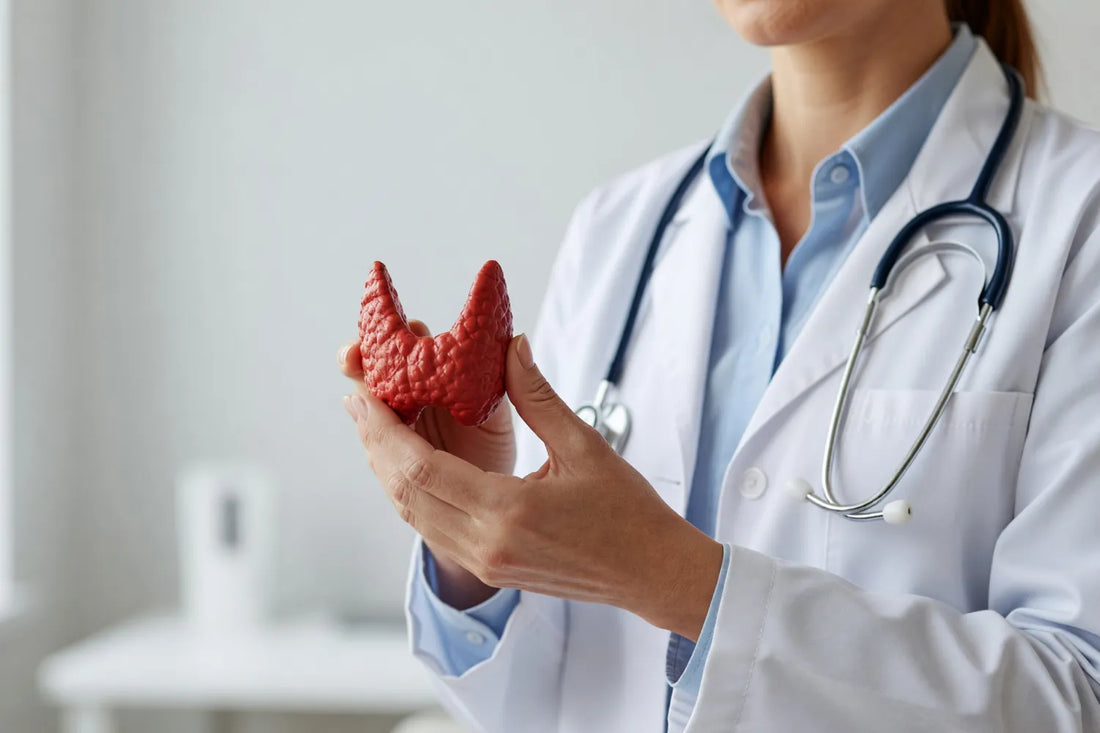 Metabolic Health 101: What It Means and How To Improve It