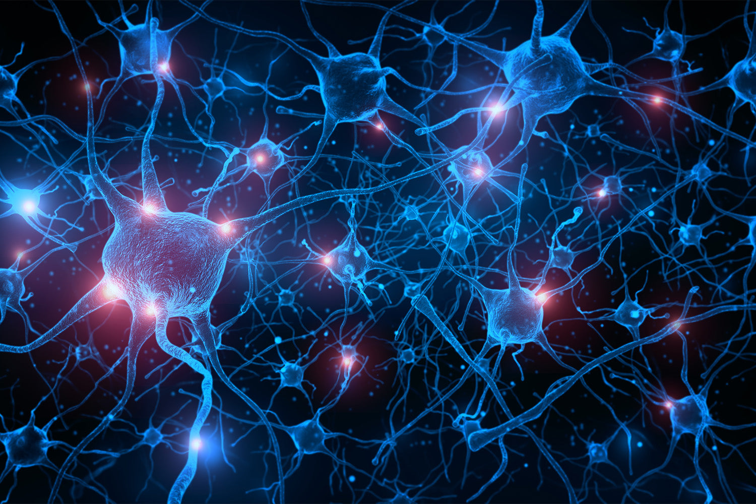 Blue neurons network with glowing connections.