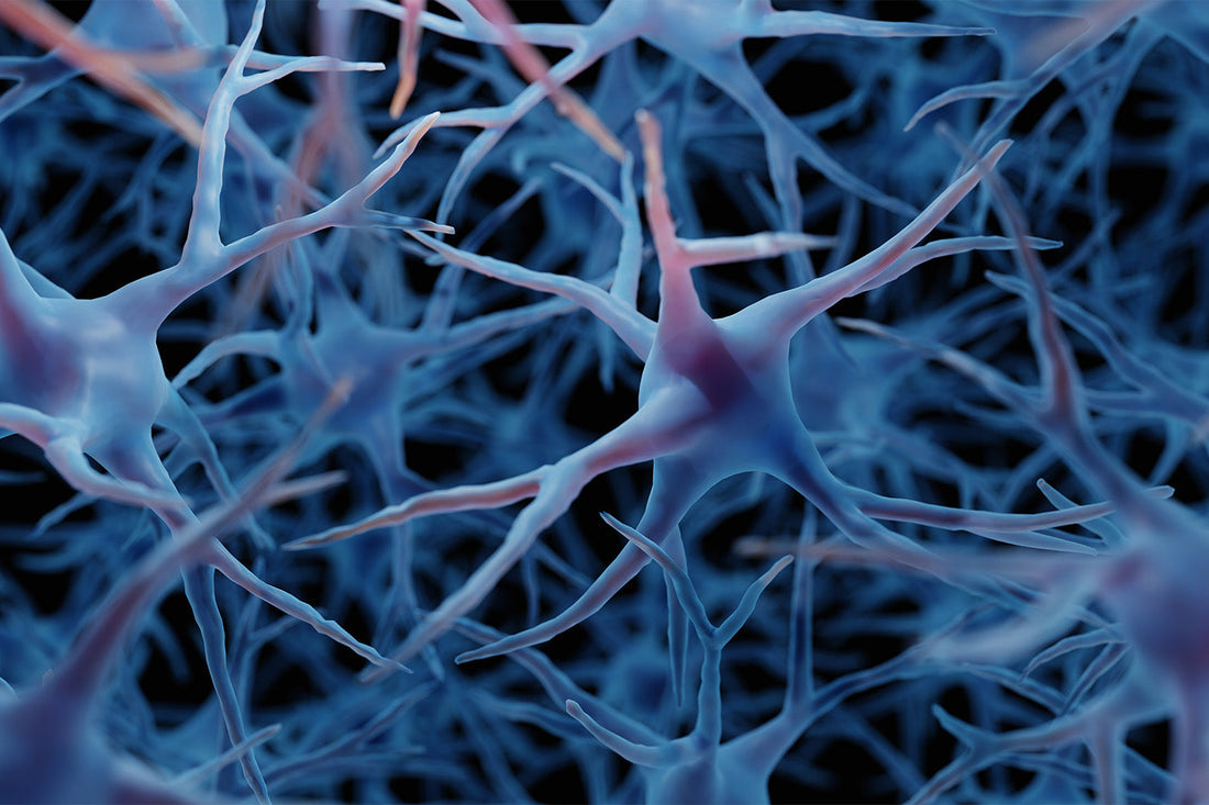 3D illustration of blue neurons with complex networking structures.