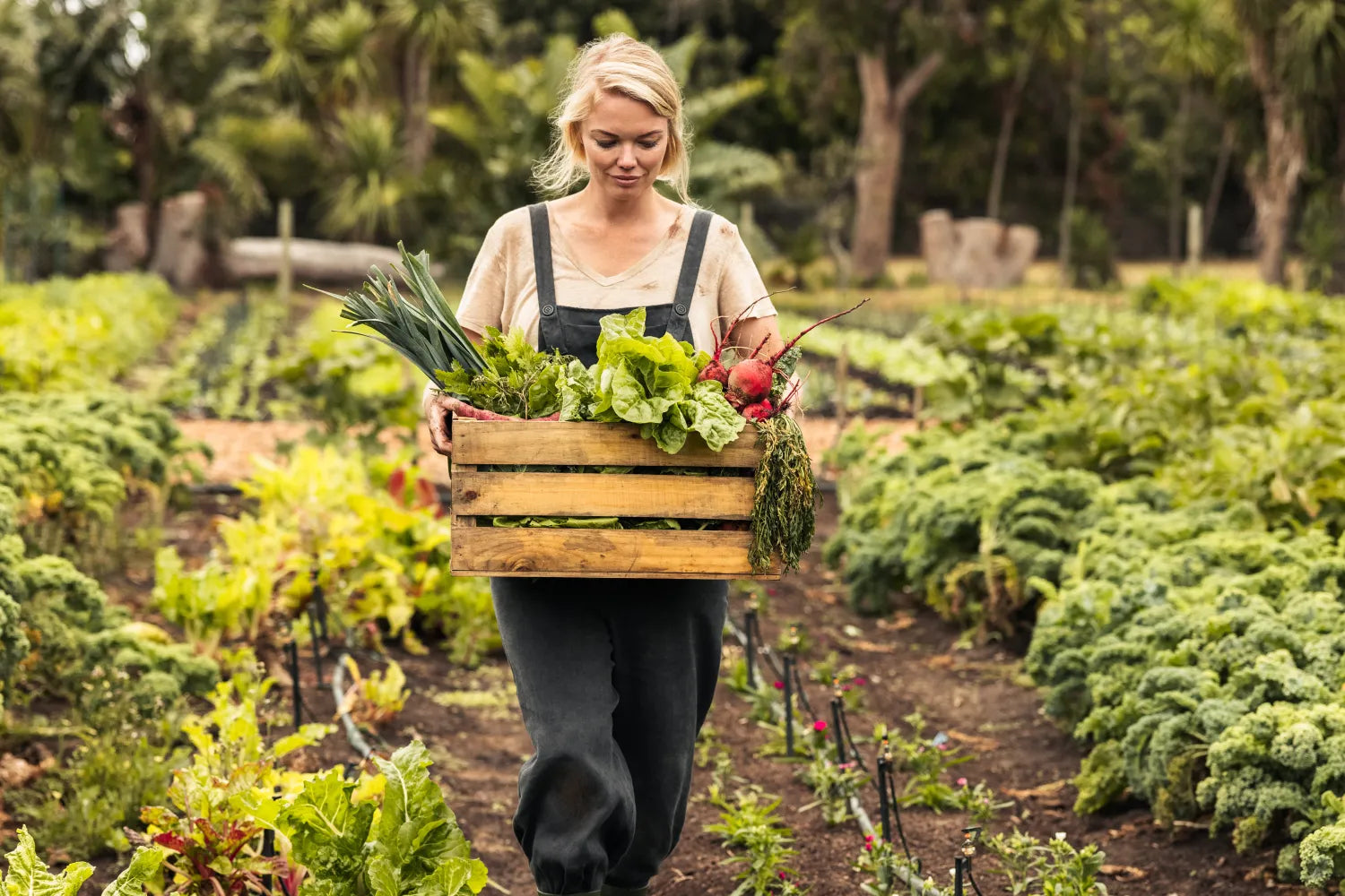 Woman carrying a crate of fresh vegetables in a lush garden scene.
