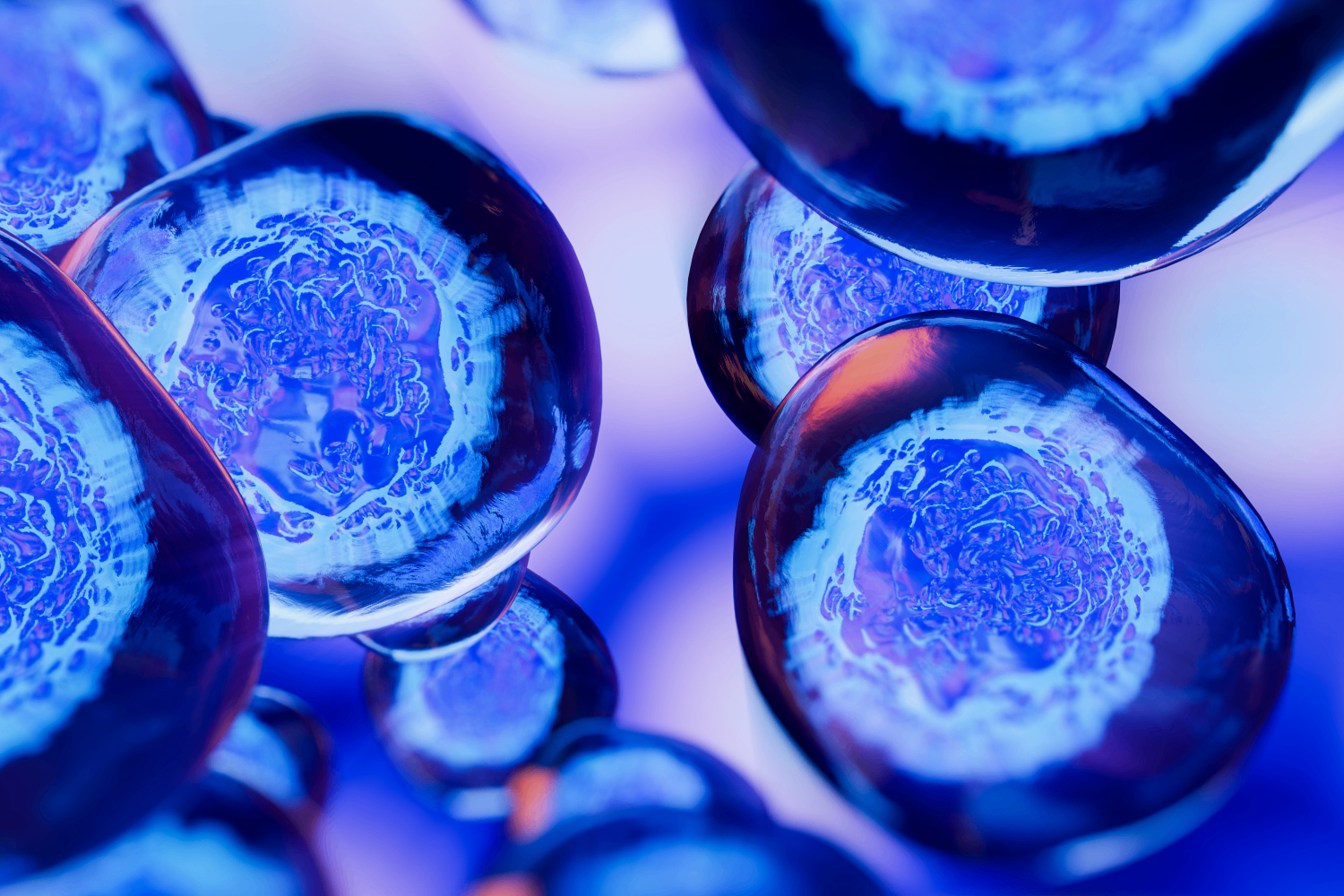 Stronger Cells for Better Daily Wellness | Fatty15