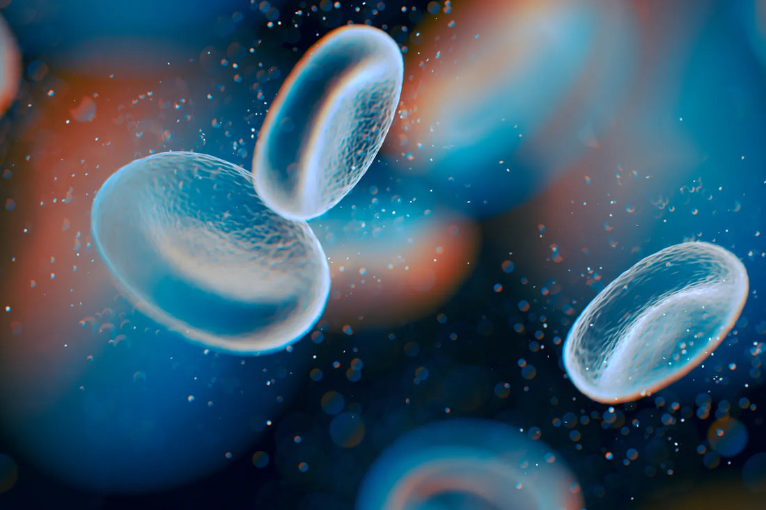 The Ultimate Guide to Cellular Longevity Supplements for Optimal Health