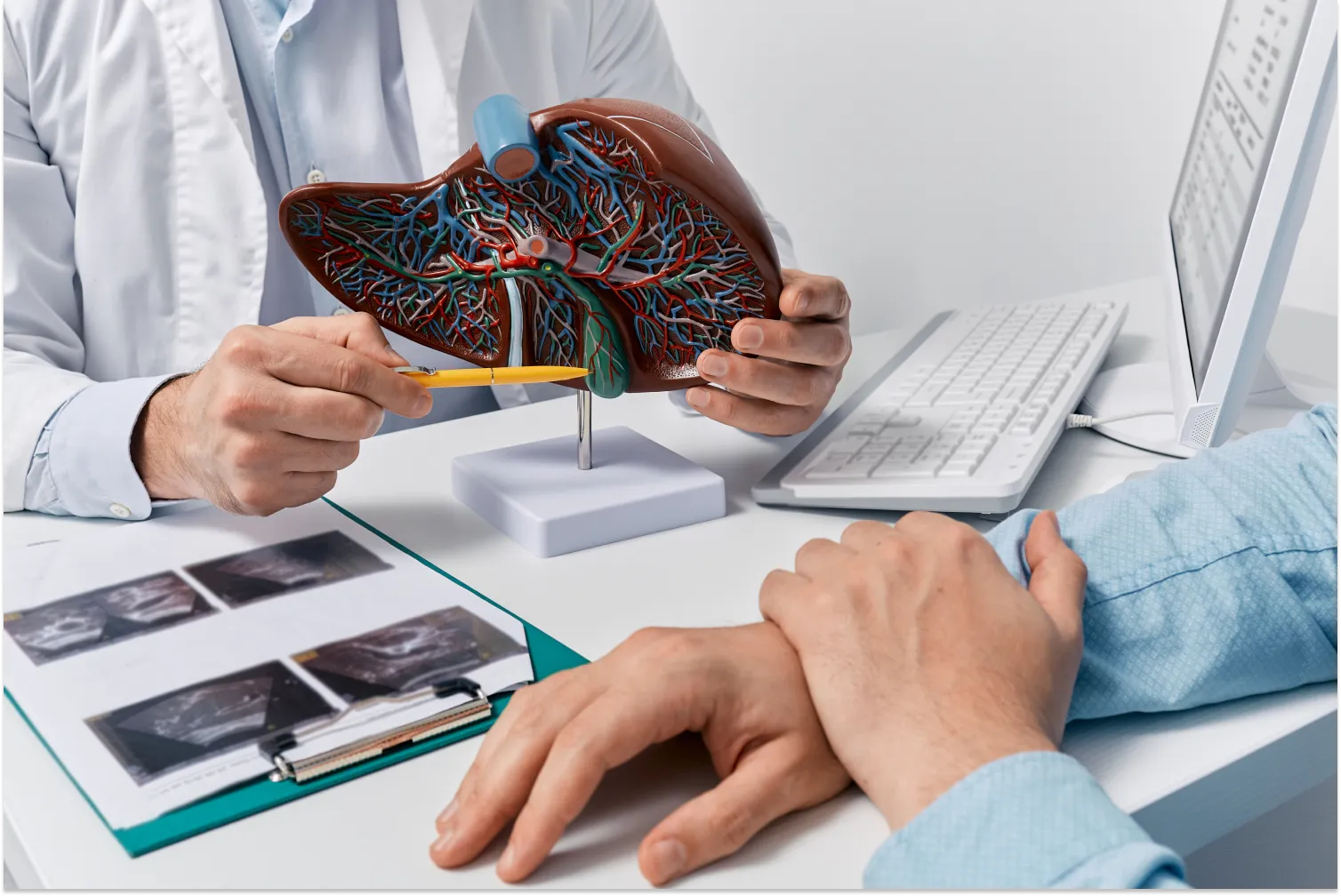 Doctor explaining liver model at a desk with computer and documents.
