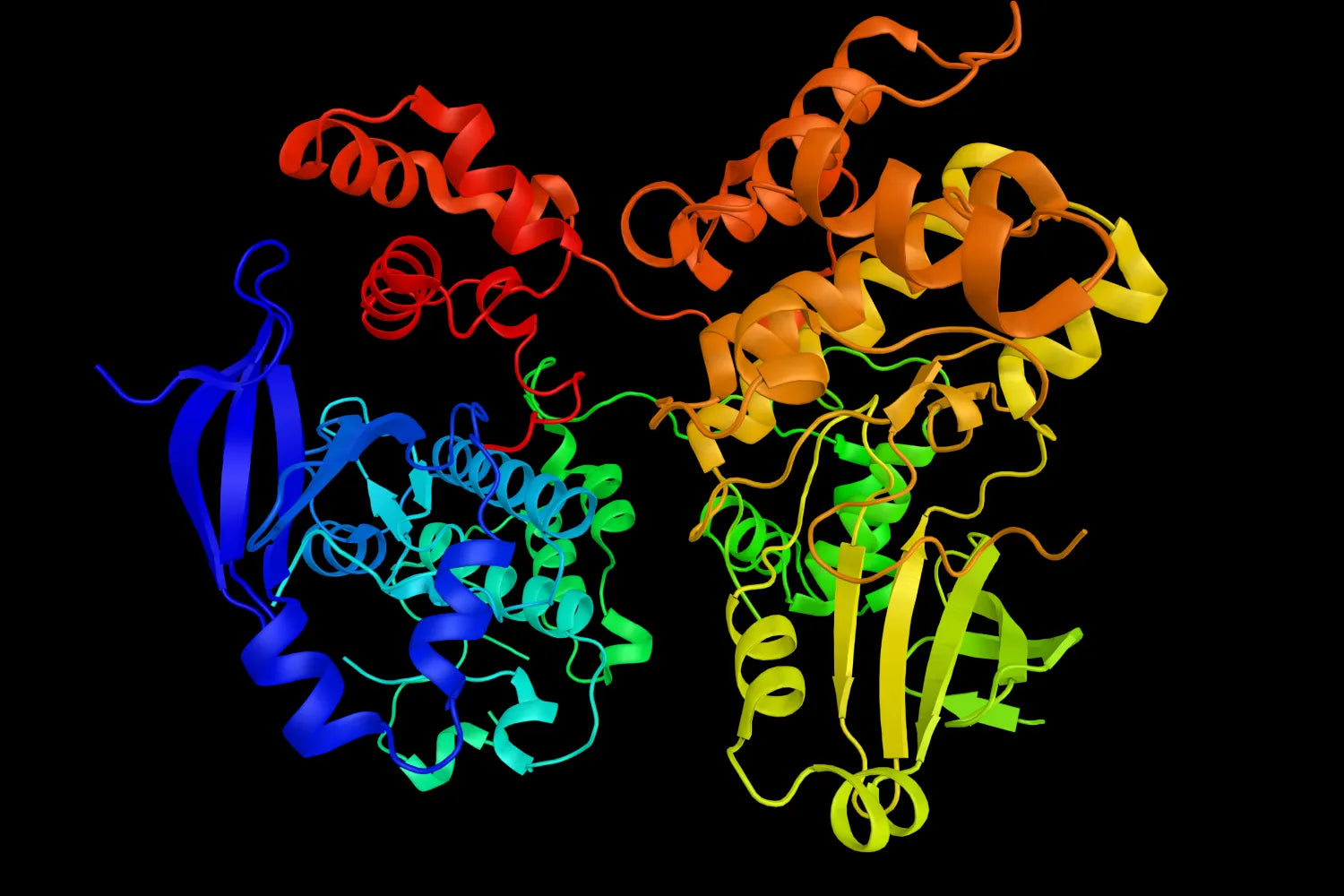 What Is AMPK & Its Relationship to How We Age?