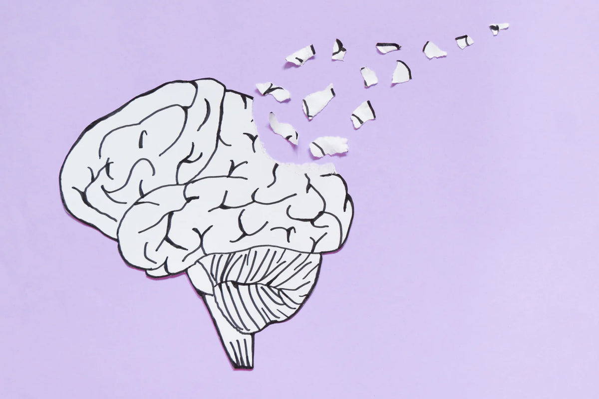 What Supplements Help With Aging Brain Memory?