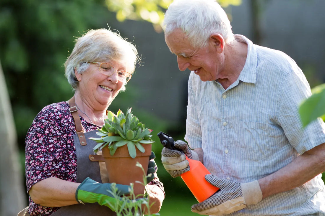 At What Age Are You Considered a Senior Citizen?