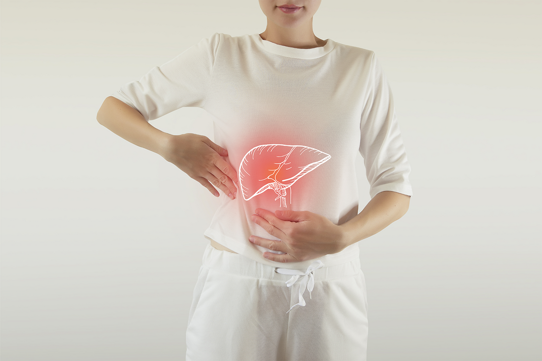Woman holding liver illustration on abdomen, symbolizing liver health.